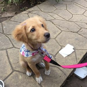 Meet your Posher, Ana